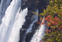 vic-falls-12